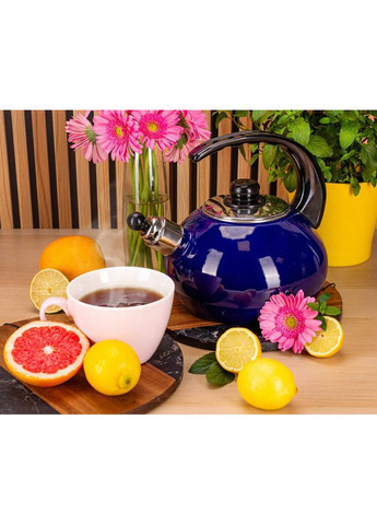 Чайник емальований 2,5л із свистком темно-синій для кип'ятіння води з бакелітовою ручкою Kamille (368977688)