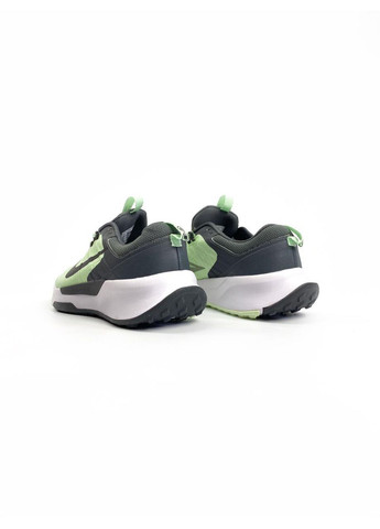 КРОССОВКИ ЖЕНСКИЕ NIKE PEGASUS GREEN WHITE BLACK НАЙК ПЕГАСУС No Brand серые демисезоны (367167999)