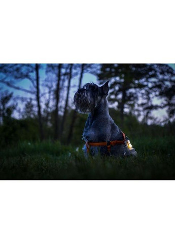 Фонарь (F06001B) Armytek Zippy Blue (308054652)