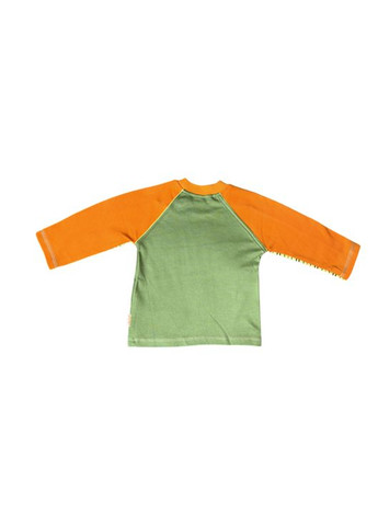 Разноцветный демисезонный спортивный, повседневный, кэжуал лонгслив Nicol в полоску