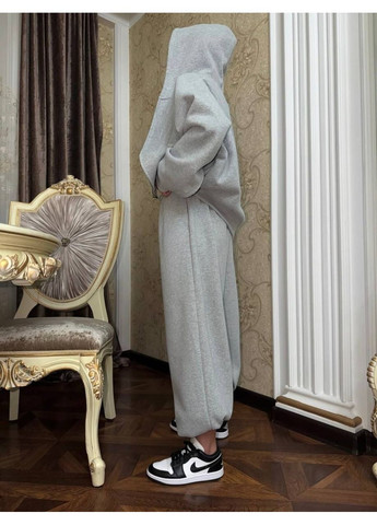 Жіночий костюм на флісі Avanti (369132615)