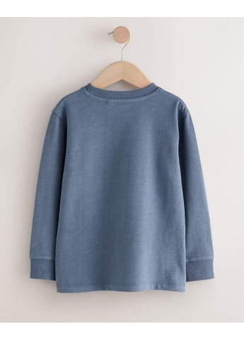 Разноцветный демисезонный лонгслив Next Trend