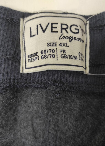 Спортивні штани джогери на флісі чоловічі батал Livergy (279361739)