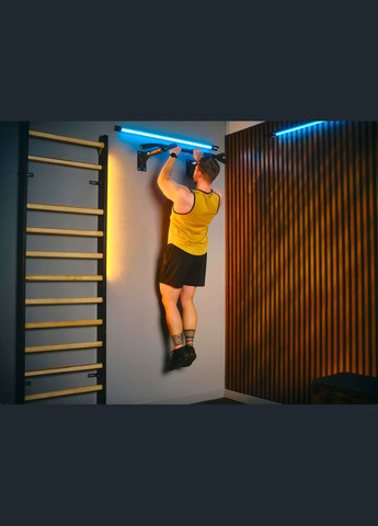 Турник настенный TX-030PB черный TREX Sport (341328036)