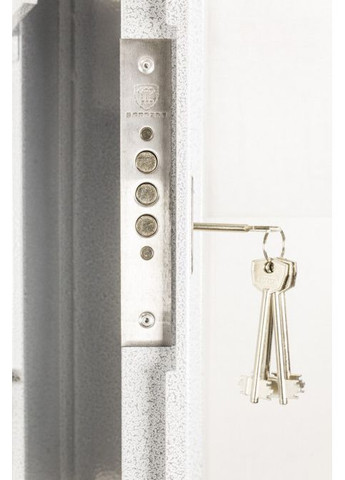 Сейф для мисливської зброї СМ2 сірий антик Profit M (330129417)