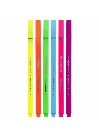 Набір лінерів FINELINER Neon Неонові кольори 6кол Bruynzeel (362586870)