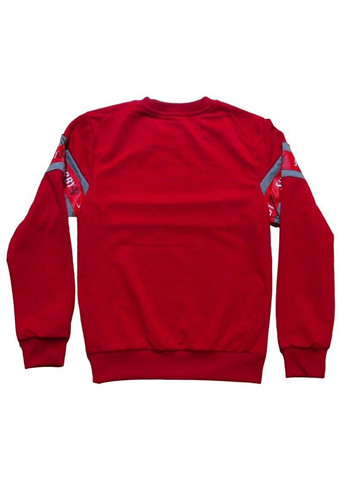 Sincere теплий світшот для хлопчика смужка червоний повсякденний