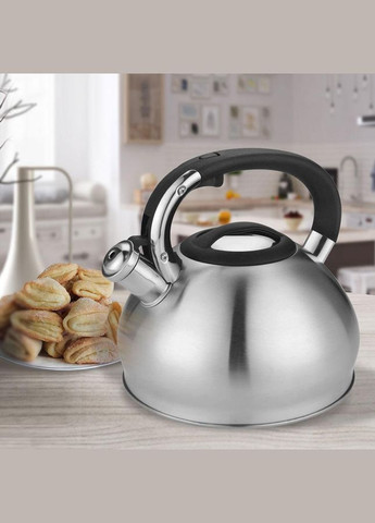 Чайник зі свистком для плити 3 л (MR-1334) Maestro (334712985)