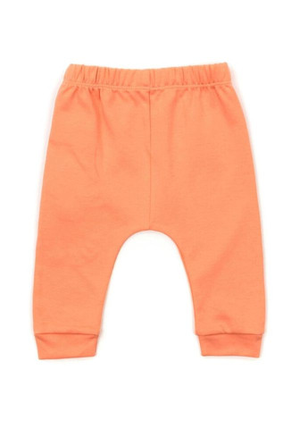 Комбінований демісезонний набір дитячого одягу з котиками (16317-68b-orange) Miniworld