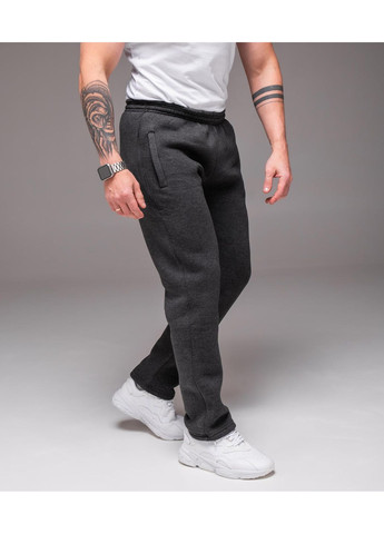 Штани спортивні чоловічі утеплені No Brand (370079811)