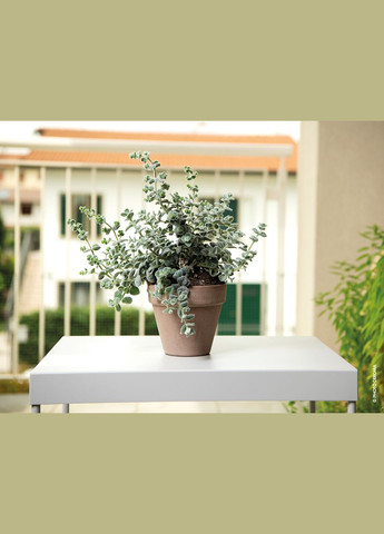 Горшок гладкий 23*20*4,3 мокко, керамика + поддон Deroma (345726259)