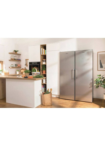 Морозильная камера FN619EES5 (ZOF3168SBD) Gorenje (306850078)