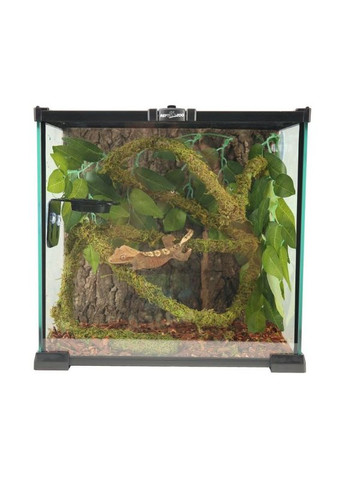 Ліана з натуральним мохом 1см x 2м (RV0210) Repti-Zoo (363452809)