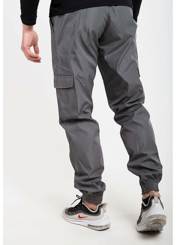 Спортивні штани Intruder (304772805)