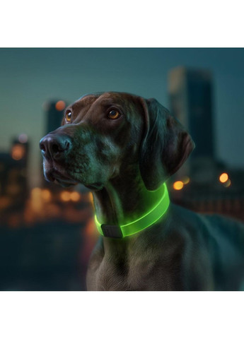 Нашийник для собак з підсвічуванням WAUDOG LED Collar (362571972)