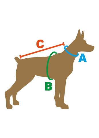 Шлея нейлонова анатомічна з візерунком MONEY та пластиковою пряжкою 25мм, А:500-600мм,В:660-900мм Kareline (339074990)