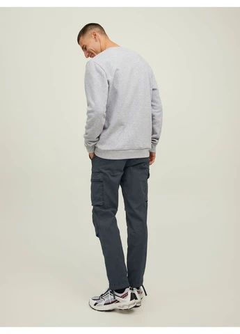 Штани демісезон,сірий,JACK&JONES Jack & Jones (379471546)