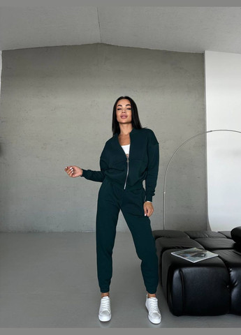 Женский качественный спортивный теплый костюм: кофта бомбер на молнии и брюки джогеры с утеплением No Brand (316094556)