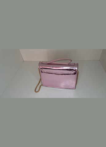 Жноча лакова сумочка ніжно рожевого кольору No Brand (317354639)