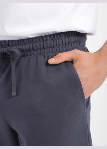 Штани чоловічі спортивні Роза (325779719)