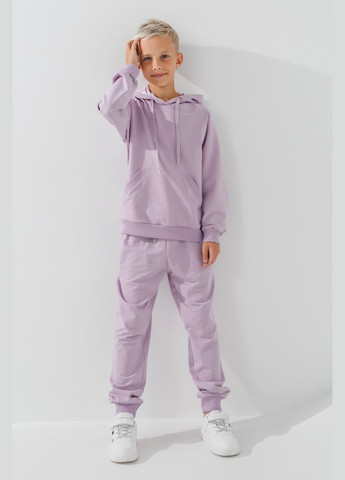 Костюм худи+штаны однотонный детский DM2401-1 158 см Лиловый (2000990558473D) shop (2000990558473) Dinomin (361499233)