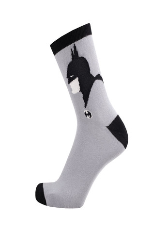 Набор (5 шт) детских носков Duna 5410_5 (305403984)