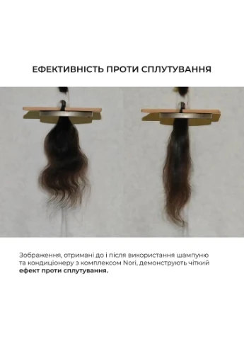 Набір для догляду за будь-яким типом волосся Nori Healthy Hair & Coconut Hillary (387361346)