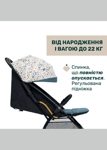 Прогулянкова коляска Glee Chicco (341321557)