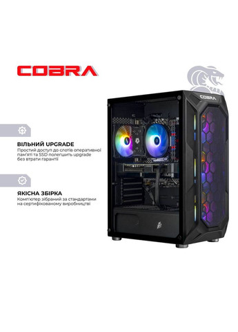 Комп'ютер Advanced (A55.16.S20.55.22316) Cobra (368901645)