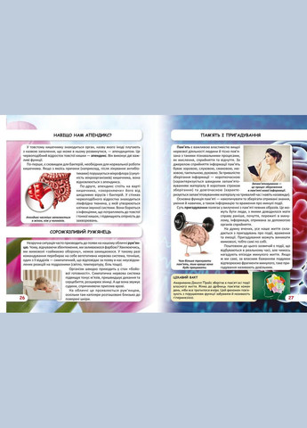 Мир вокруг нас. Как работает твое тело Кристал Бук (316084144)