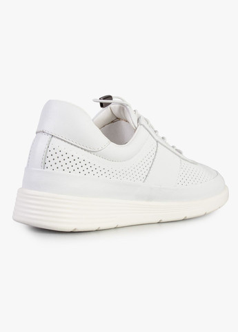 Кроссовки женские бренда 8200709_(1) ModaMilano белые демисезоны (337569962)