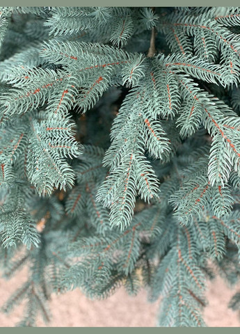 Искусственная елка 1,80м. No Brand (314874381)