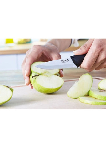 Набір ножів Essential 3 предмети (K2219455) Tefal (351855559)