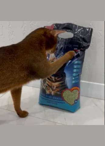 Наповнювач TOFU з ароматом зеленого чаю 3 кг. No Brand (320950267)