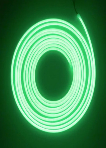 Светодиодная неоновая лента LED NEON 5 метров влагозащищена с блоком питания 12V-220V зеленый VTech (316089949)