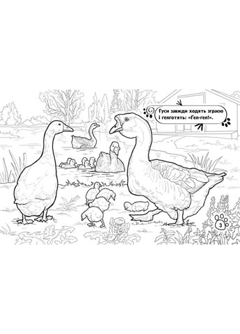 Дитяча розмальовка "Тварини на фермі" 583011, 16 сторінок No Brand (329897488)