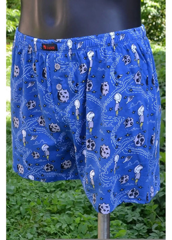 Мужские боксеры трусы 01/016 Космос LANS (373273700)