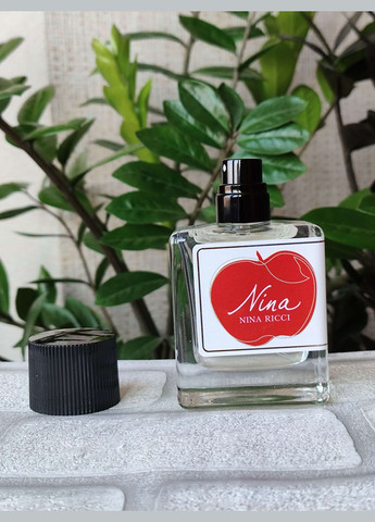 Парфюм женский Nina (Нина), 50 мл No Brand (346493947)