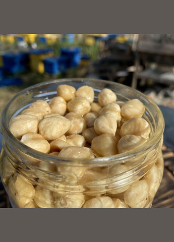 Фундук меда акации 1,0 л (1200 грамм) МЕД ПОШТОЮ (322148821)