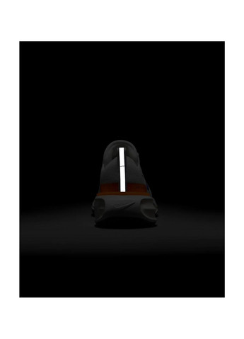 Білі кросівки чоловічі invincible 3 blueprint white Nike