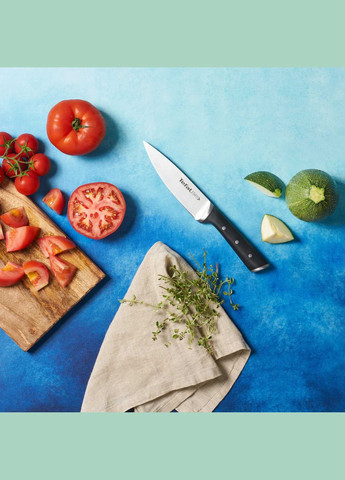 Кухонний ніж шеф-кухаря Ice Force, 15см, нержавіюча сталь, пластик Tefal (314777279)