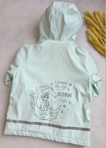 Дождевик детский костюм на флисе грязепруф Lupilu Куртка та Напівкомбінезон (337705820)