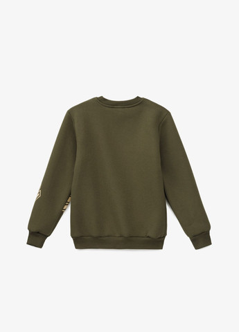 Atabey світшот з принтом для хлопчика 30703.1 116 см shop (2000990808721) хакі повсякденний бавовна, поліестер