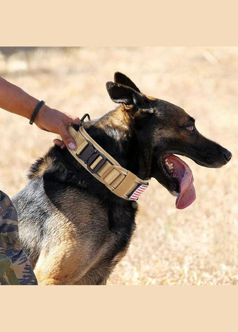 Ошейник для собак Harness Tactical, широкий нейлоновый с металлической пряжкой-фастекс, Коричневый M No Brand (308863026)