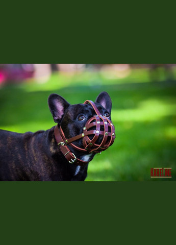 Намордник-сетка из натуральной кожи для французского бульдога размер М Kareline (339075583)