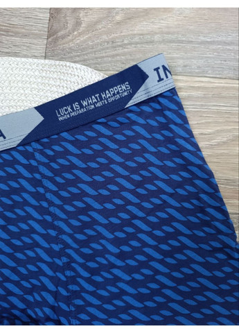 Мужские бамбуковые трусы – боксеры, с широкой резинкой. Indena (361268264)