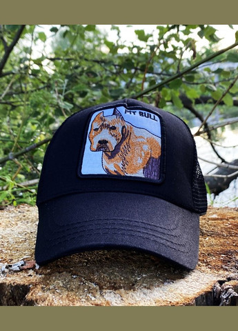 Кепка (з сіткою) Pitt Bull black No Brand (326741683)