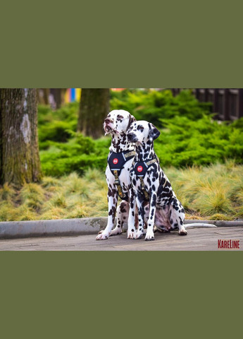 Шлей из нейлона с узором "AFRO", логотипом и пластиковой пряжкой 25 мм А:500-640 мм, В:660-900 мм Kareline (339074972)