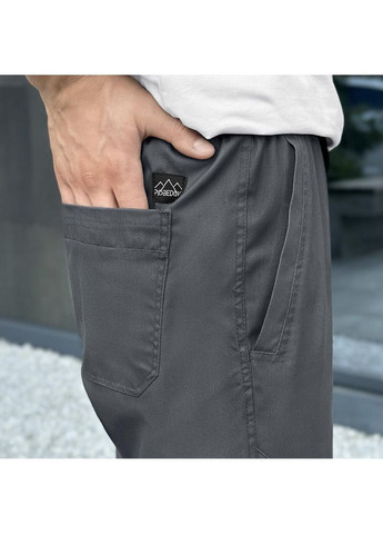 Серые повседневный демисезонные брюки Freedom