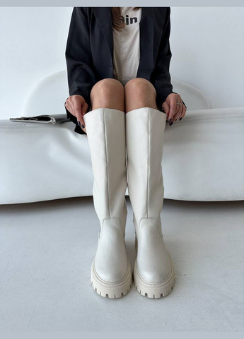 Зимние зимние сапоги No Brand